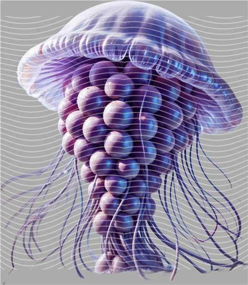 Tung Tung sahur-TT 439